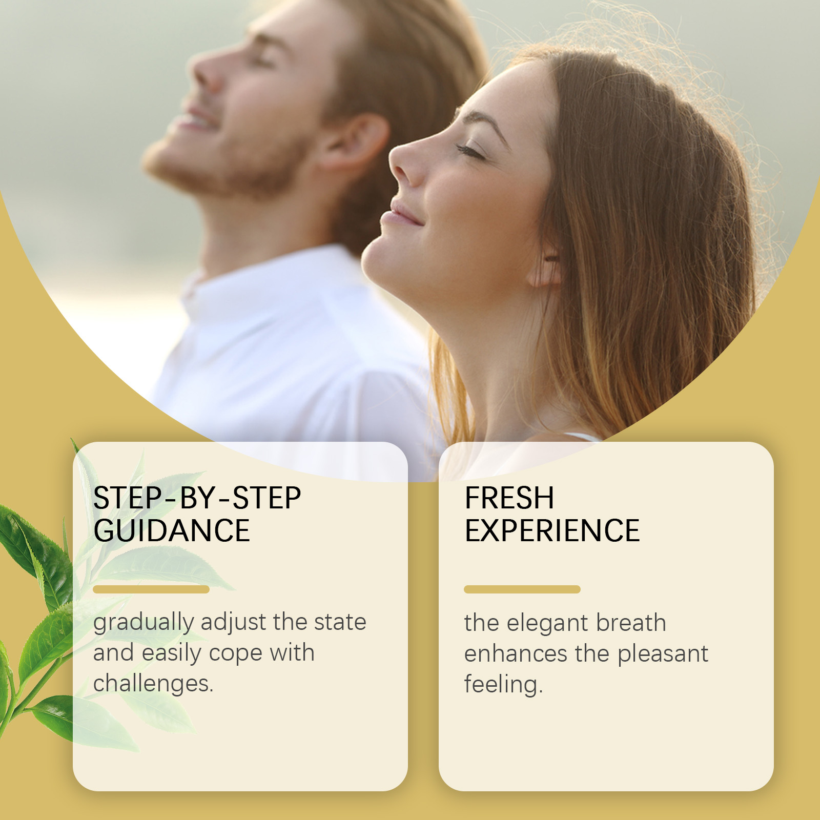  ﻿30/60/90pcs Quit Smoking Pa - đánh giá và giá Herbal Zone